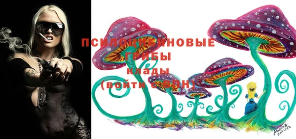 скорость Абаза